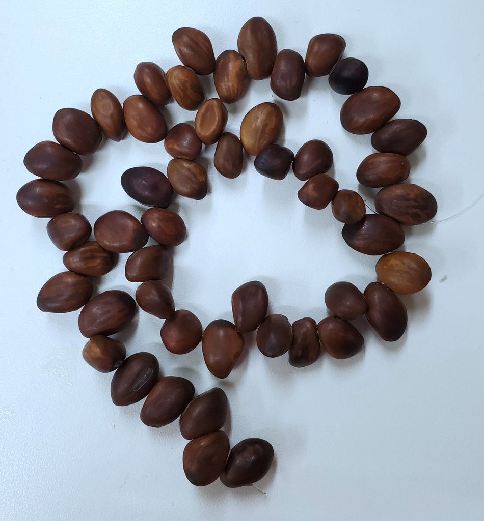 Bay Bean Strands