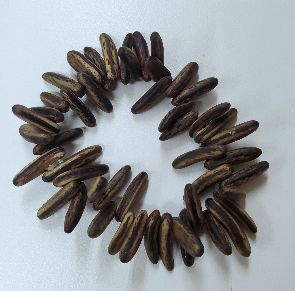 Poinciana Seed Bracelet