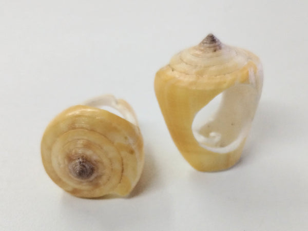 Cone Shell Ring