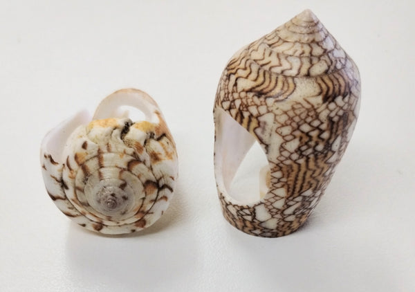 Cone Shell Ring