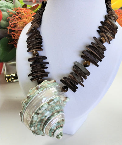 Seashell Spirit African Turbo Green
