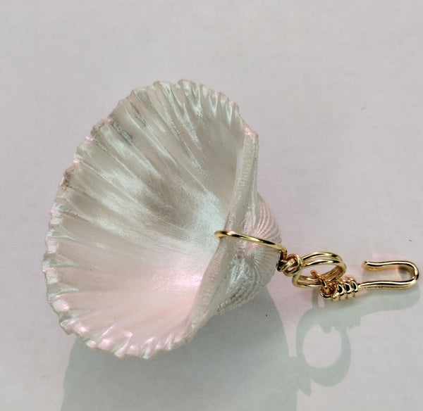 White Ark Shell with one hole