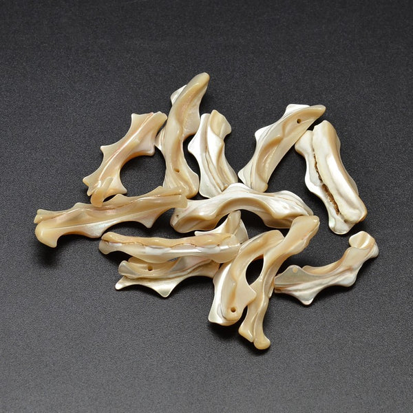 Dyed Natural Shell Nuggets Beads