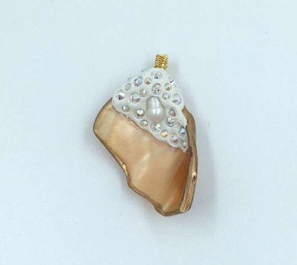 Fantasy Shell Collection